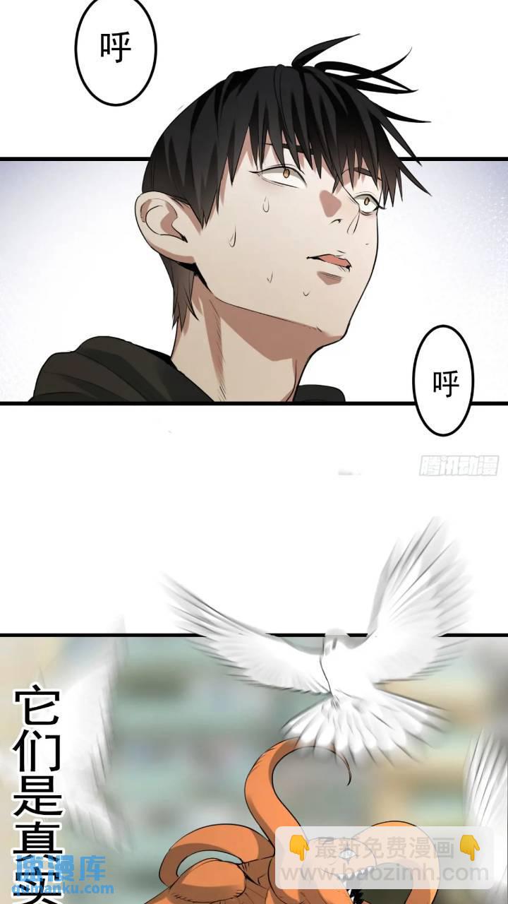 最终单：Z权限(1/2)-第51话