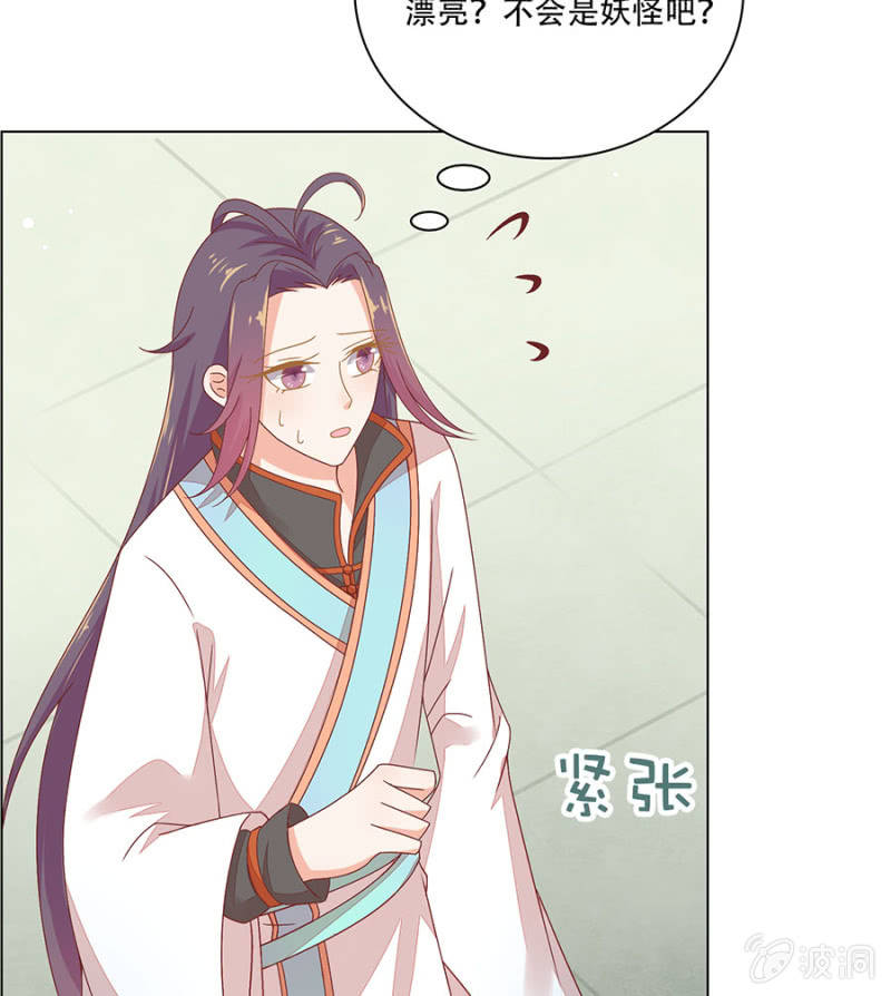 苏大师大展身手7