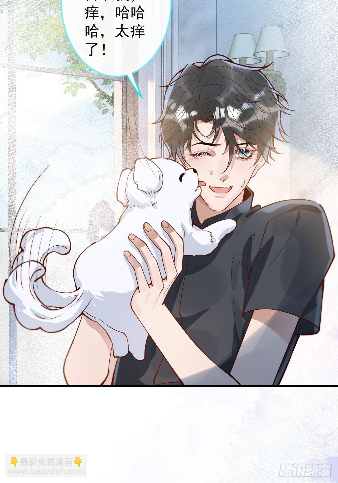 43-小狗还是美人？(1/2)-第45话