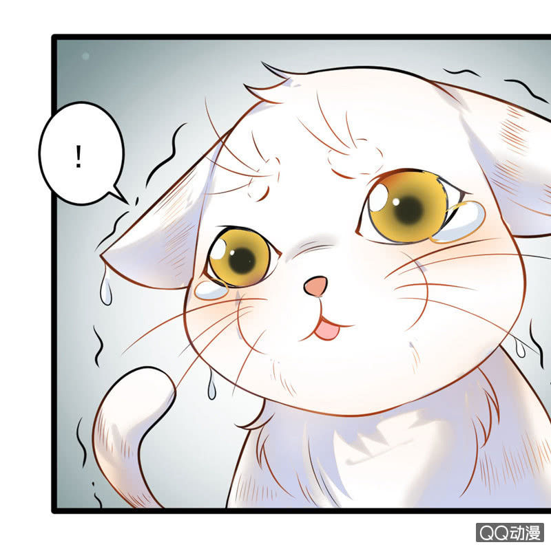 与你的偶遇-第51话