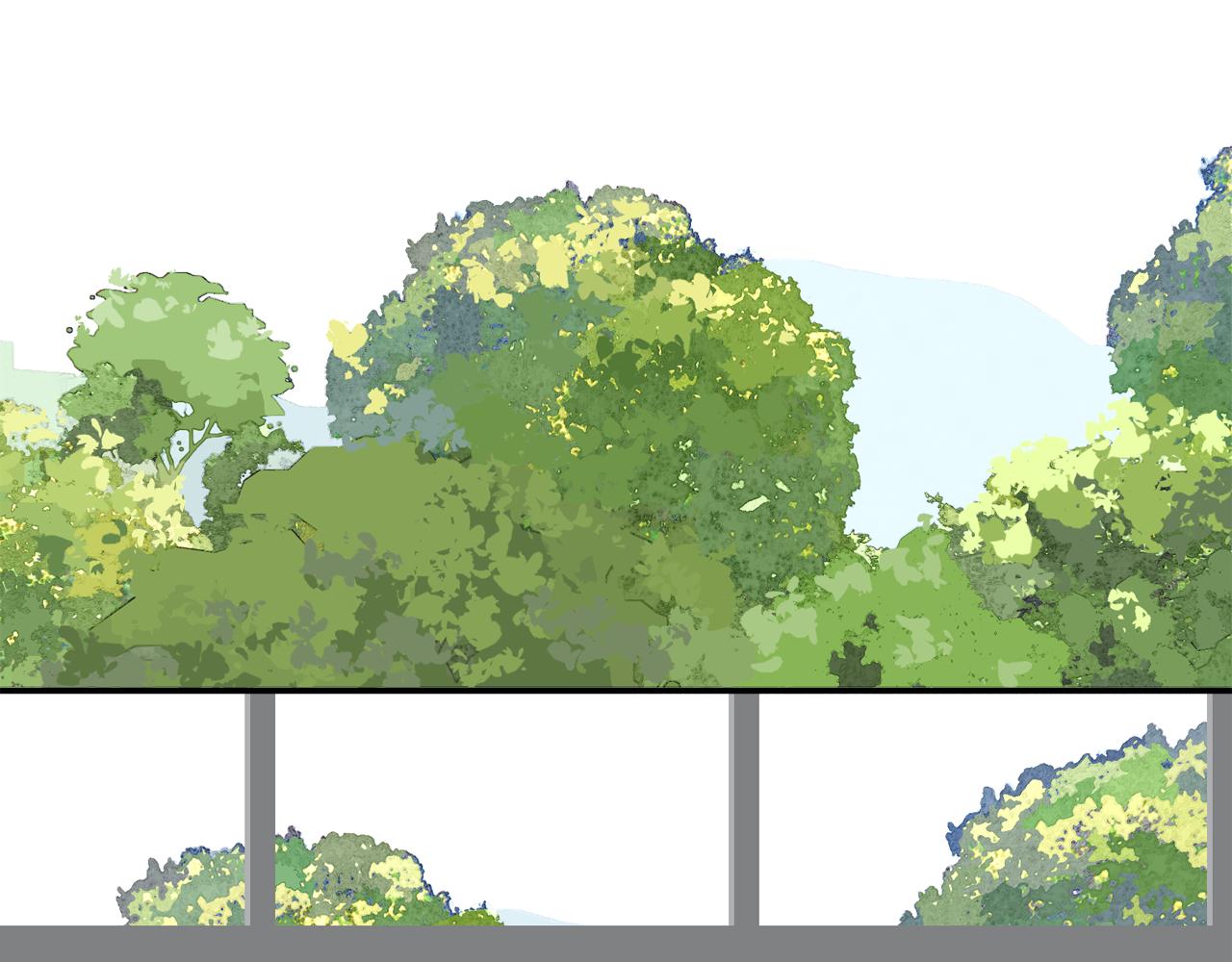 第55话 星神和夜神（下）(1/2)-第55话