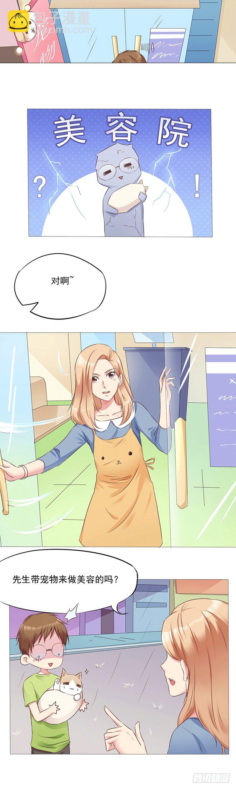 第15话 奇怪的宠物美容院-第15话