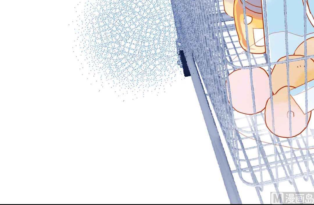 第18话 秋秋的家事 2-第39话