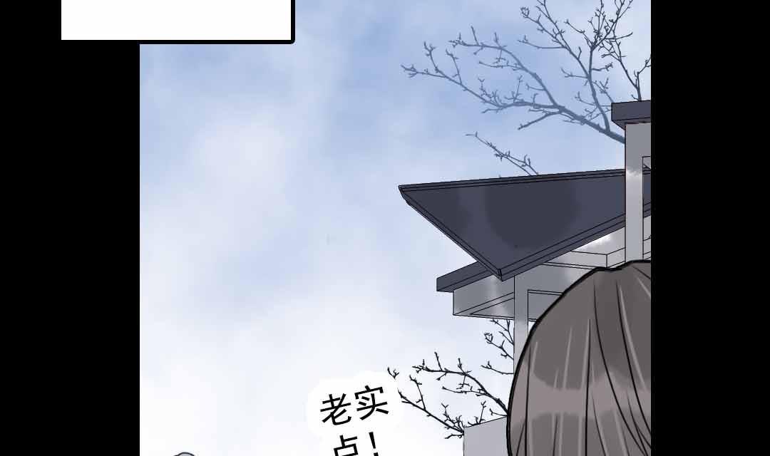 第23话 碎风寨大当家 1(1/2)-第53话