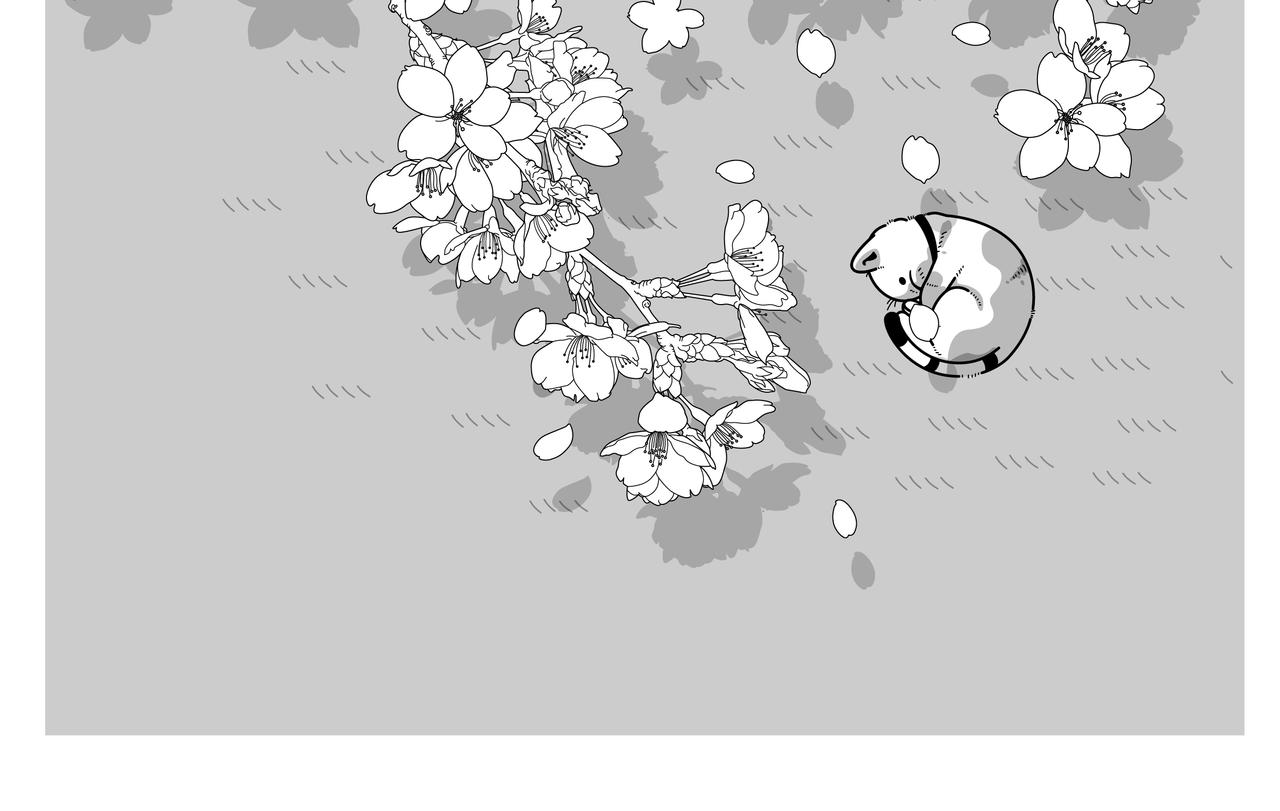 氣味旅社 - 櫻花樹下 - 6
