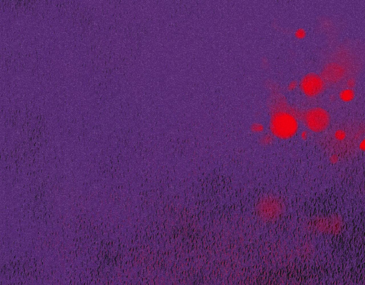 48-遗子反哺(1/3)-第51话