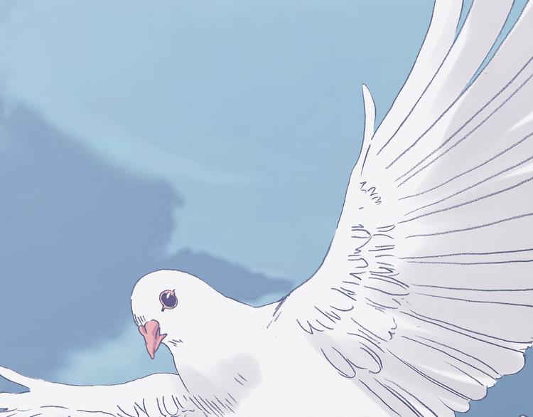 第27话 信鸽（2）(1/4)-第27话