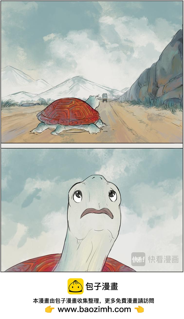 序篇 小红龟-第1话