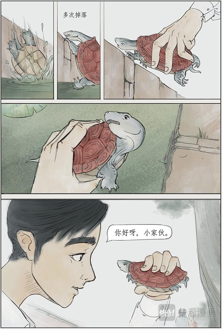 序篇 小红龟-第1话