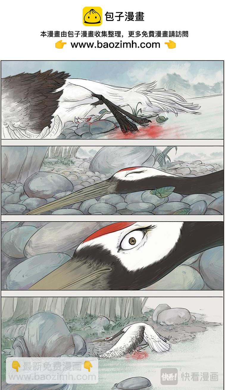 第一篇 少年八角（中）-第3话