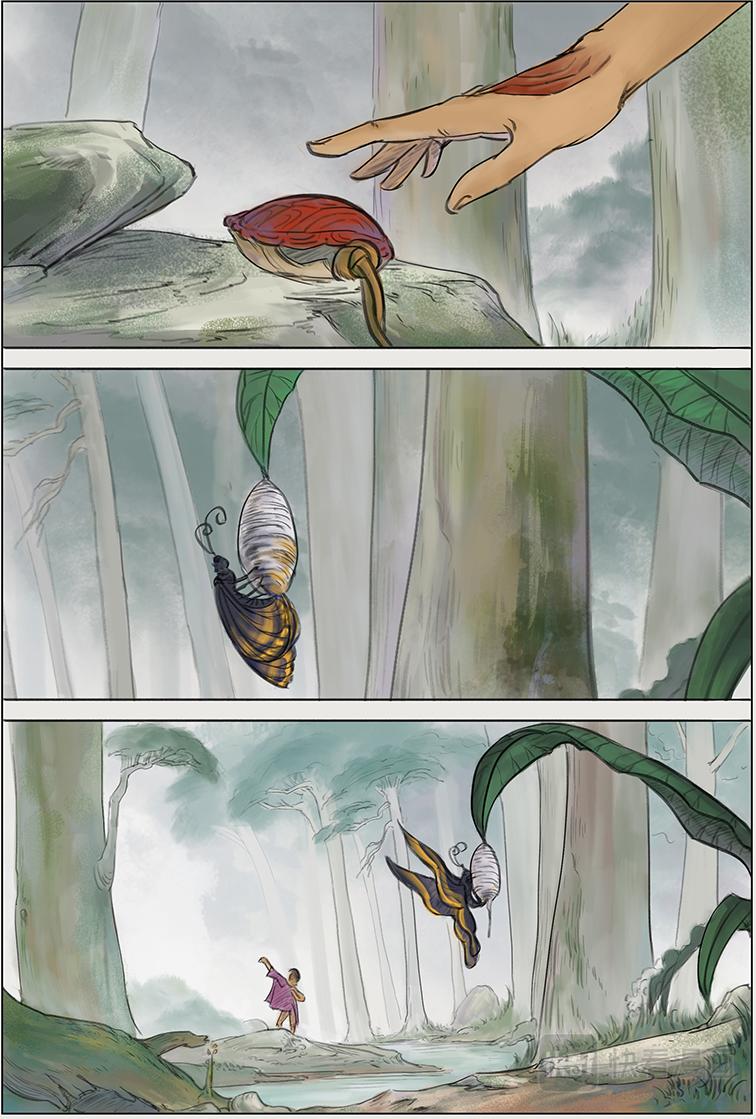 第二篇 智擒八角（上）-第5话