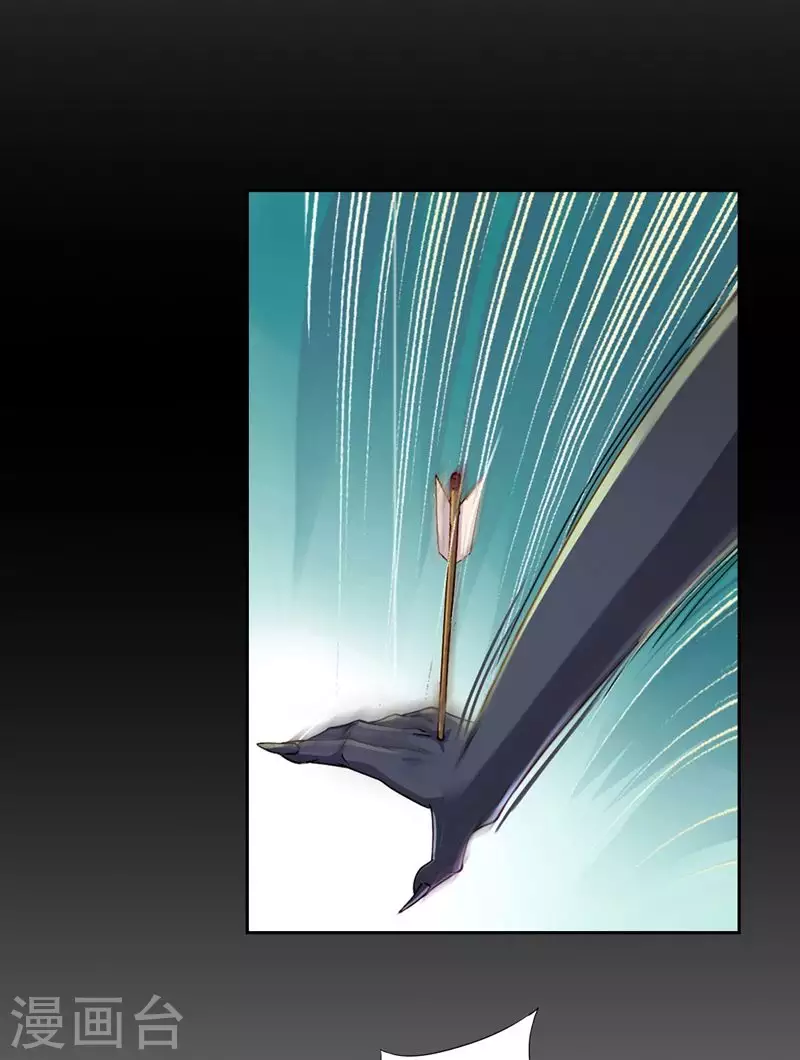 第3话 蝙蝠是什么鬼？3-第3话