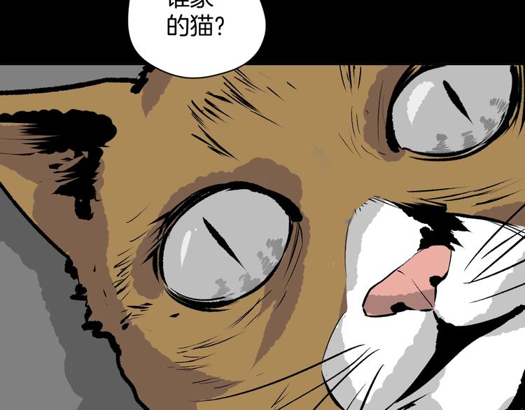 第6话 猫的报恩（1）(1/3)-第7话