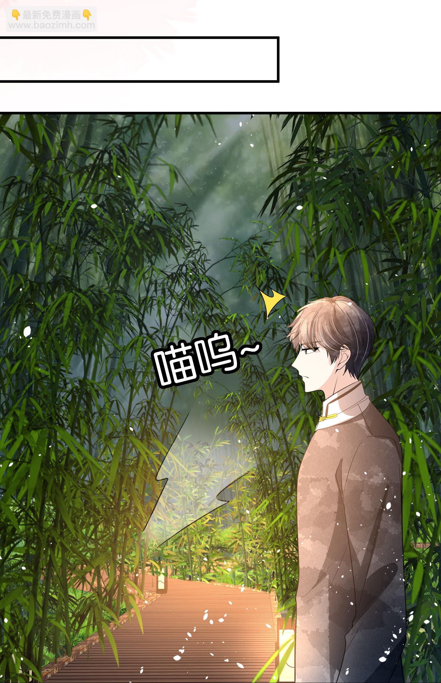 契約冷妻不好惹 - 第303話 別樣的晚餐 - 3