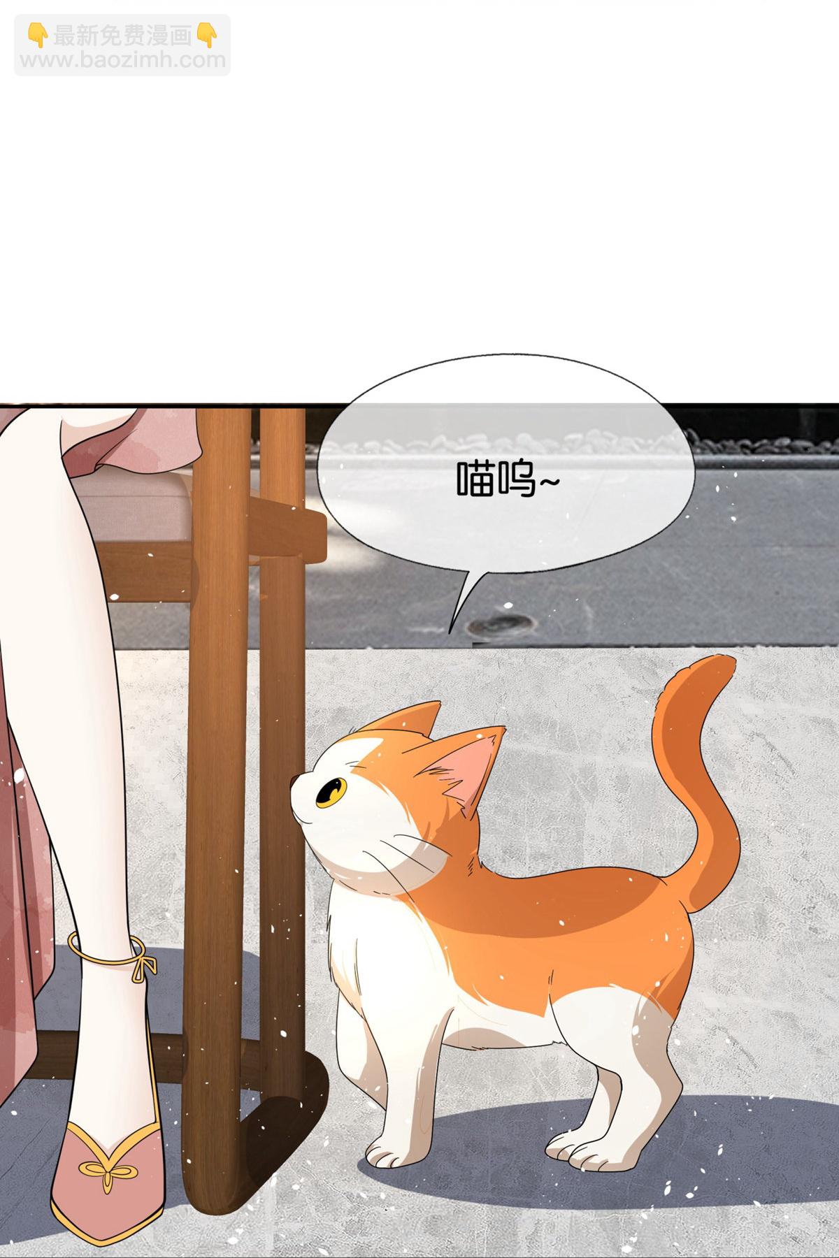 契約冷妻不好惹 - 第305話 可愛的小貓咪 - 7