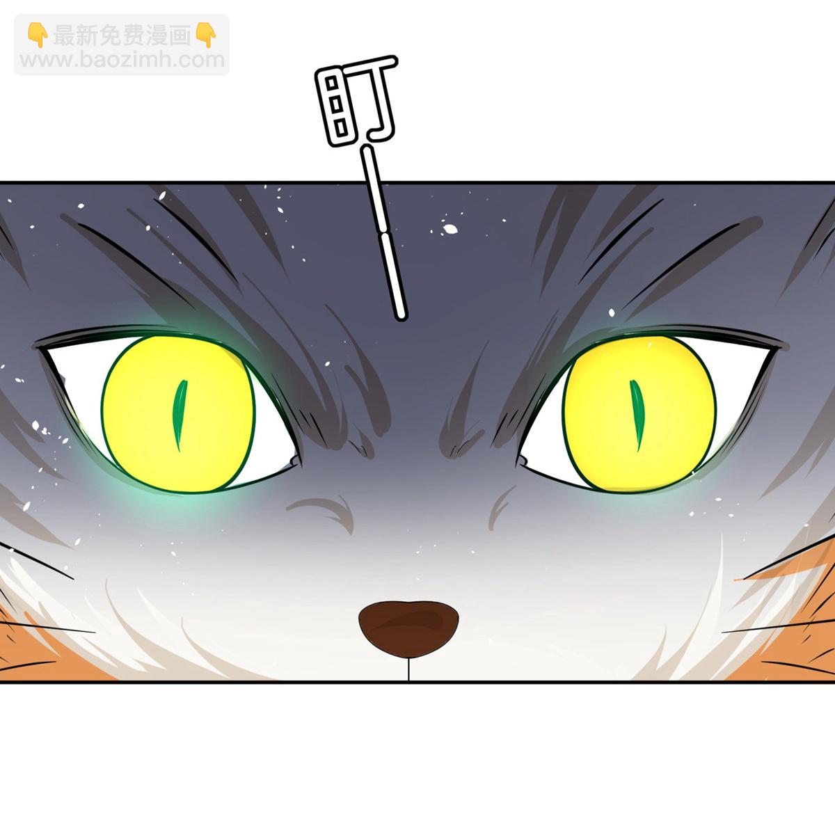 契約冷妻不好惹 - 第305話 可愛的小貓咪 - 4