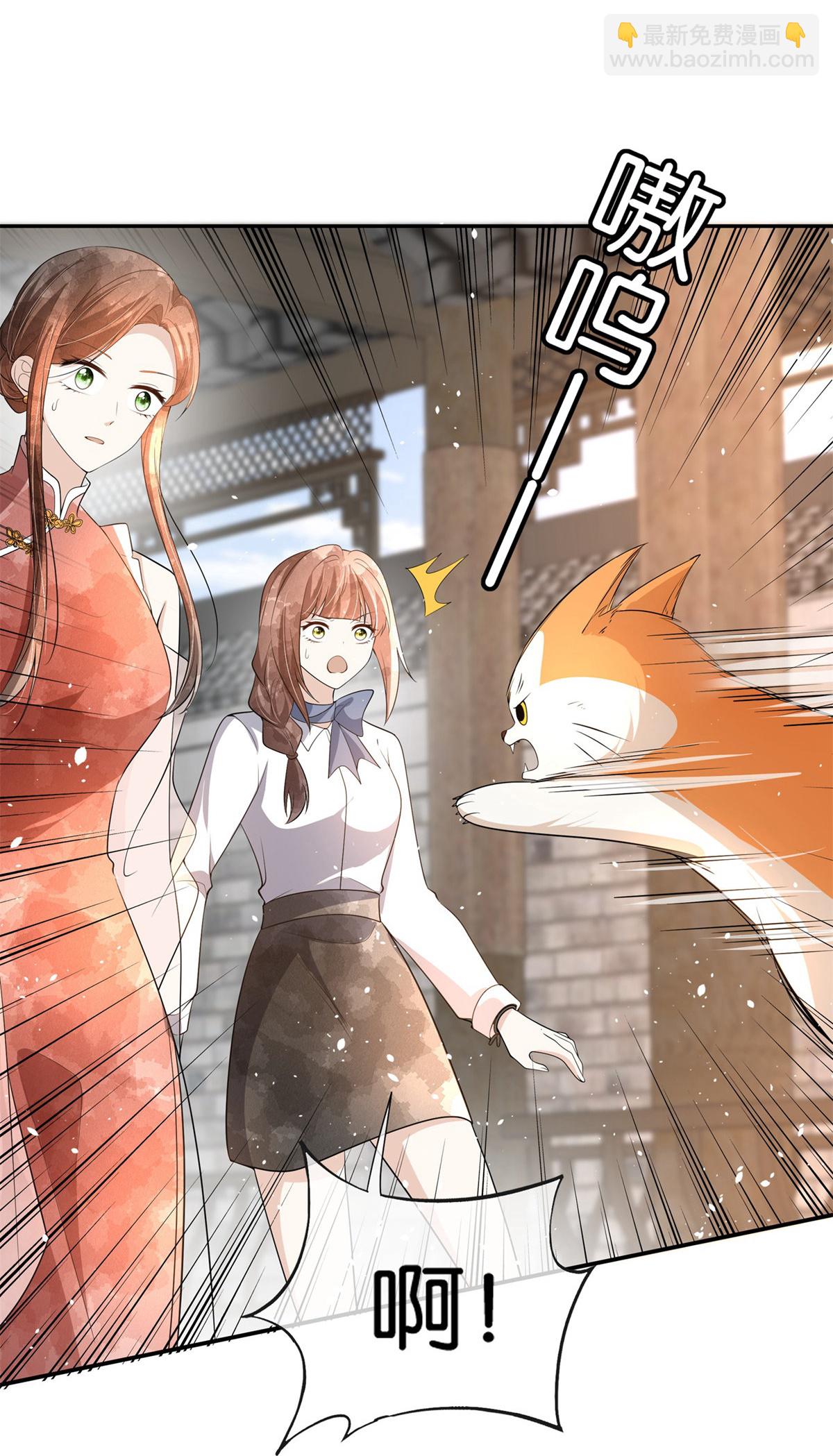 契約冷妻不好惹 - 第305話 可愛的小貓咪 - 5