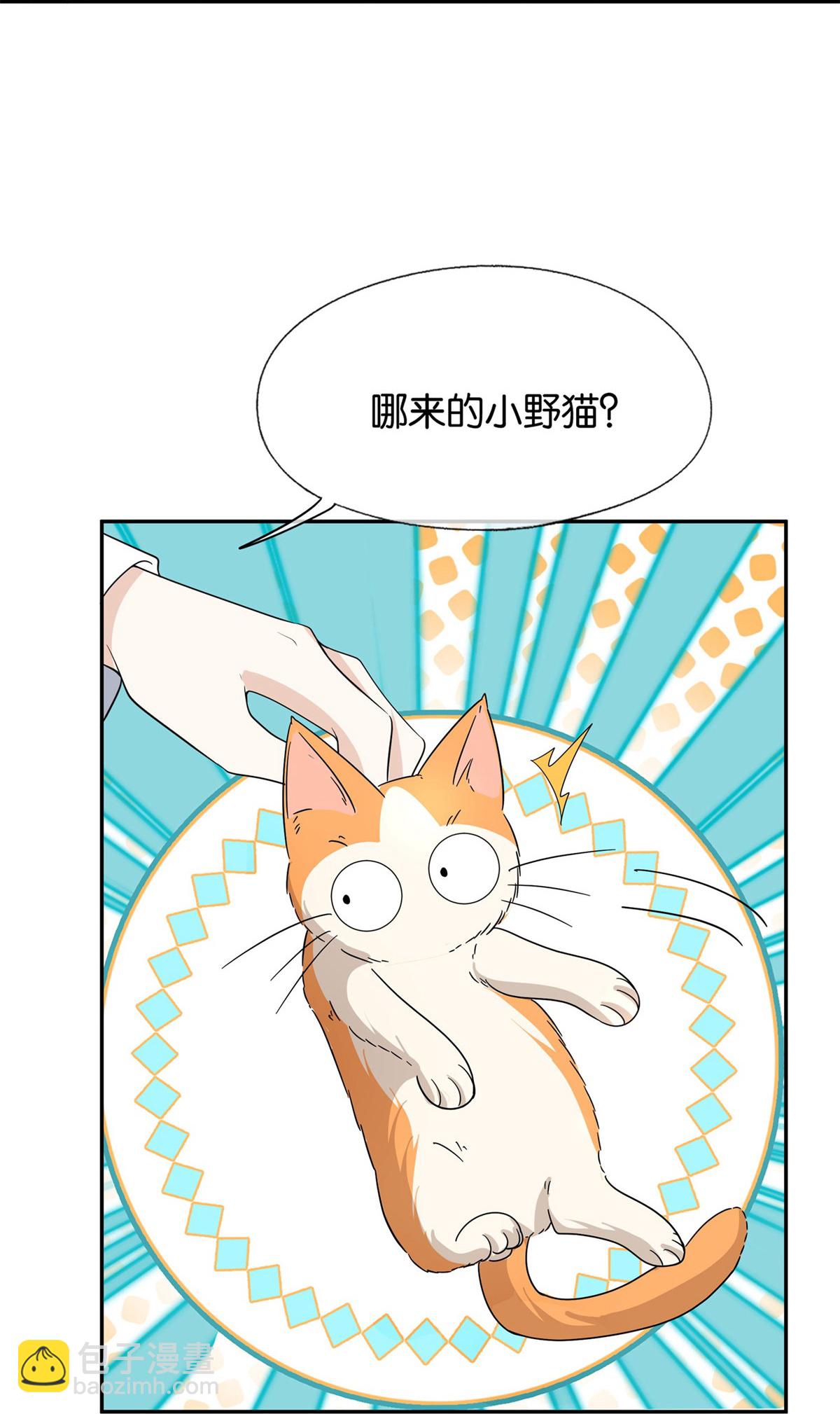 契約冷妻不好惹 - 第305話 可愛的小貓咪 - 7