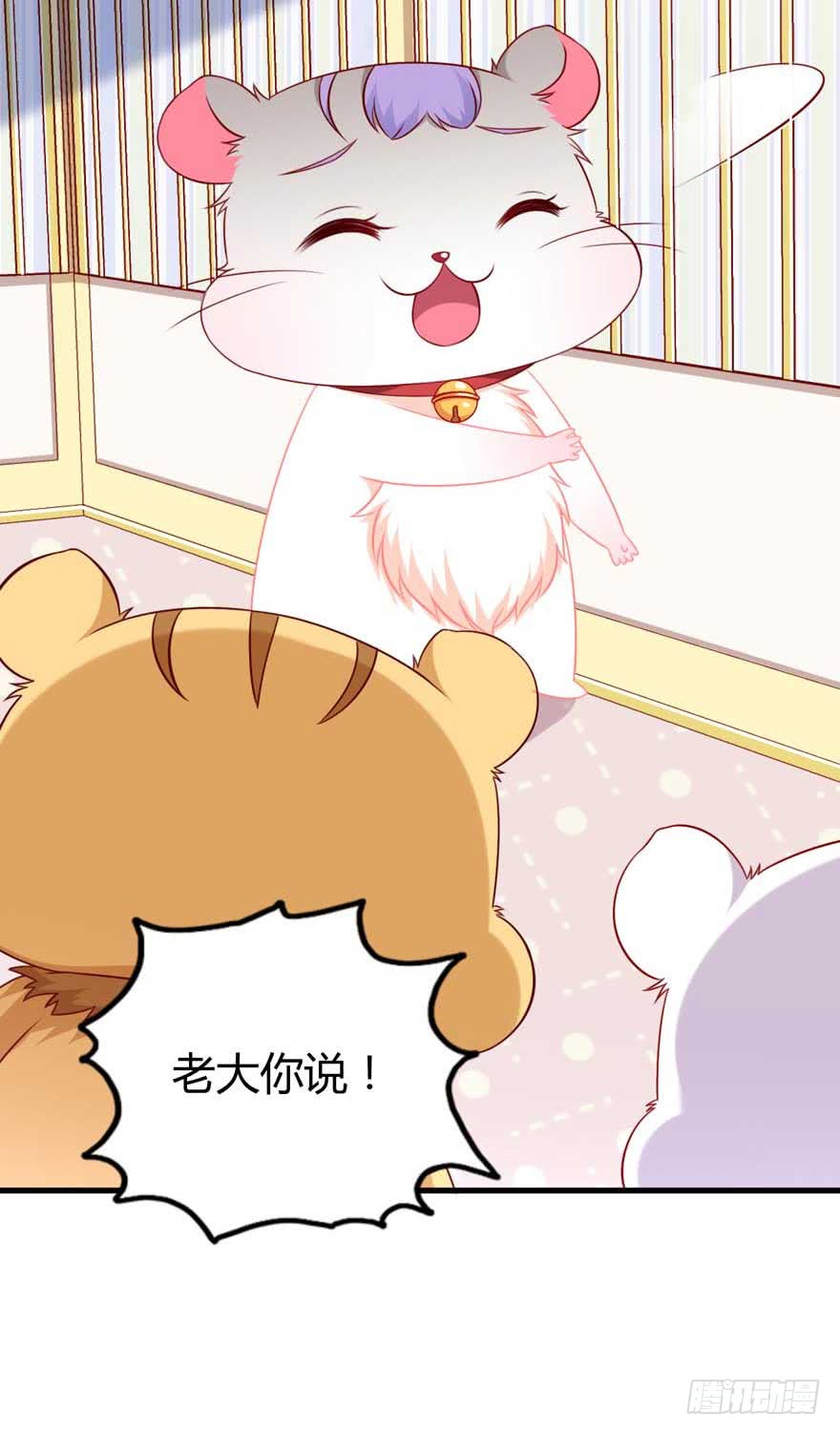 第10话 谁的裤腰带-第13话