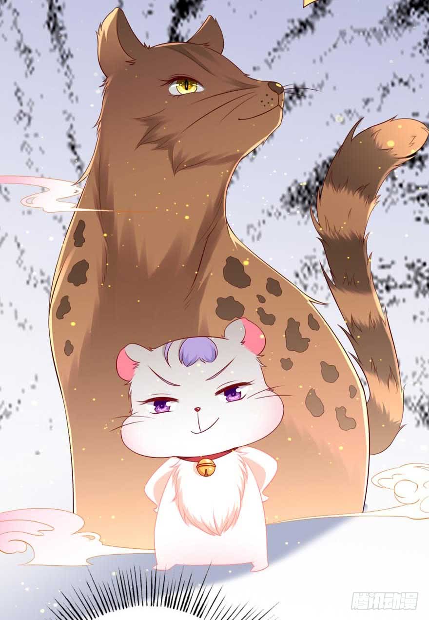 第10话 谁的裤腰带-第13话