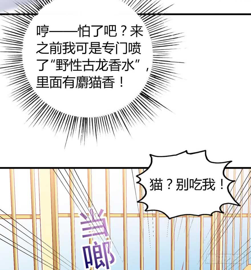 第10话 谁的裤腰带-第13话