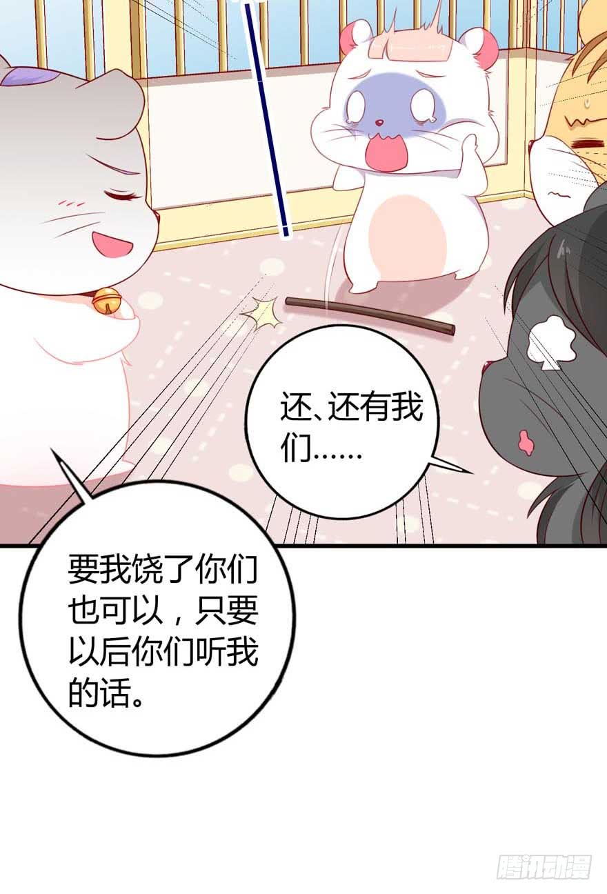 第10话 谁的裤腰带-第13话