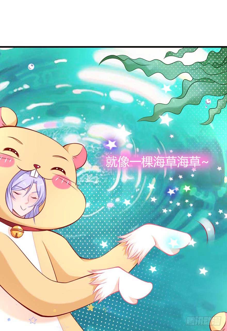 第12话 仓鼠海草舞-第15话