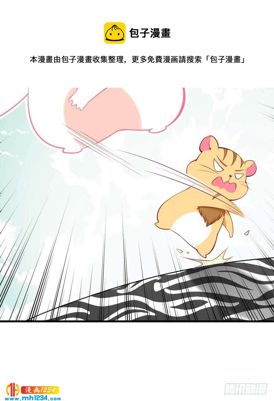 第14话 捣乱-第17话