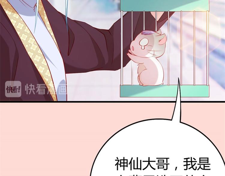 第2话 吱，我变成了仓鼠？！(1/2)-第3话