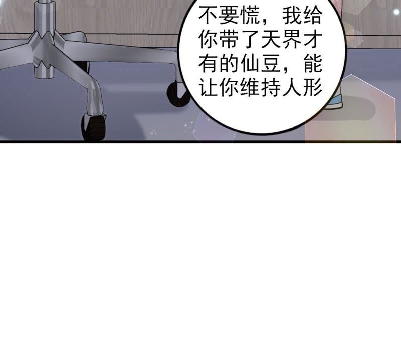 第30话 仙豆粑粑(1/2)-第33话