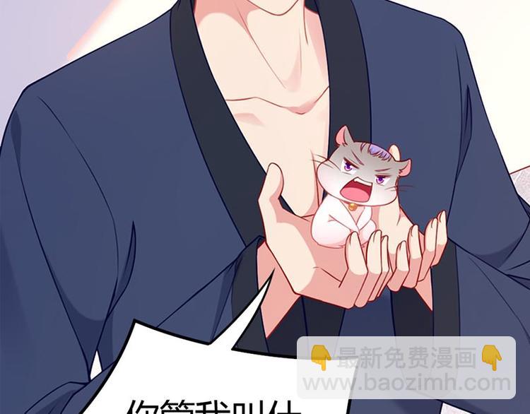 第4话 感觉背后一凉！(1/2)-第5话