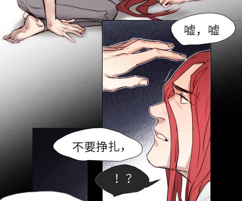 第29话(1/2)-第31话