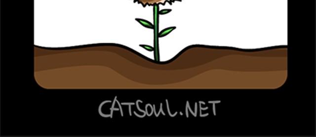 第13~16话 种田-第3话