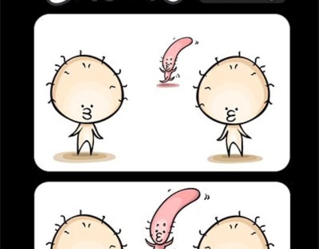 第37~40话 迷失-第9话