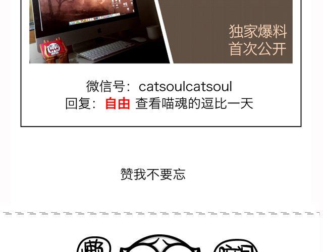 第64、65话 喵魂不哭-第31话