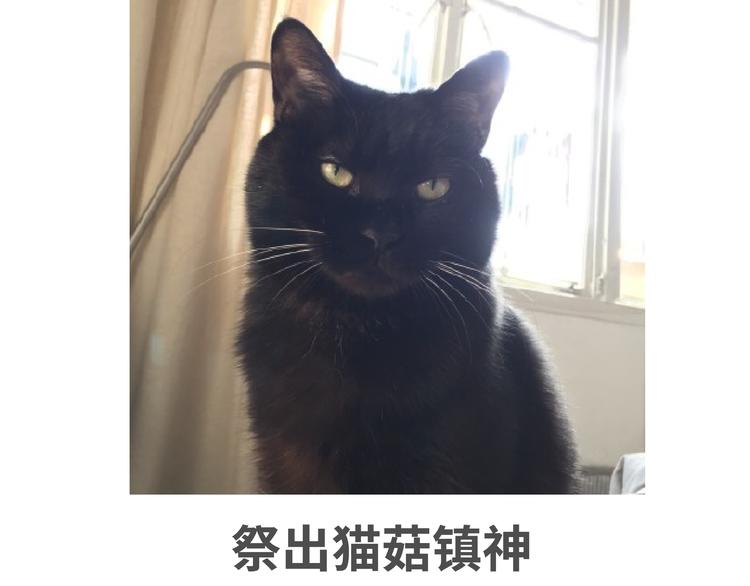 第88、89话 春梦了无痕-第43话