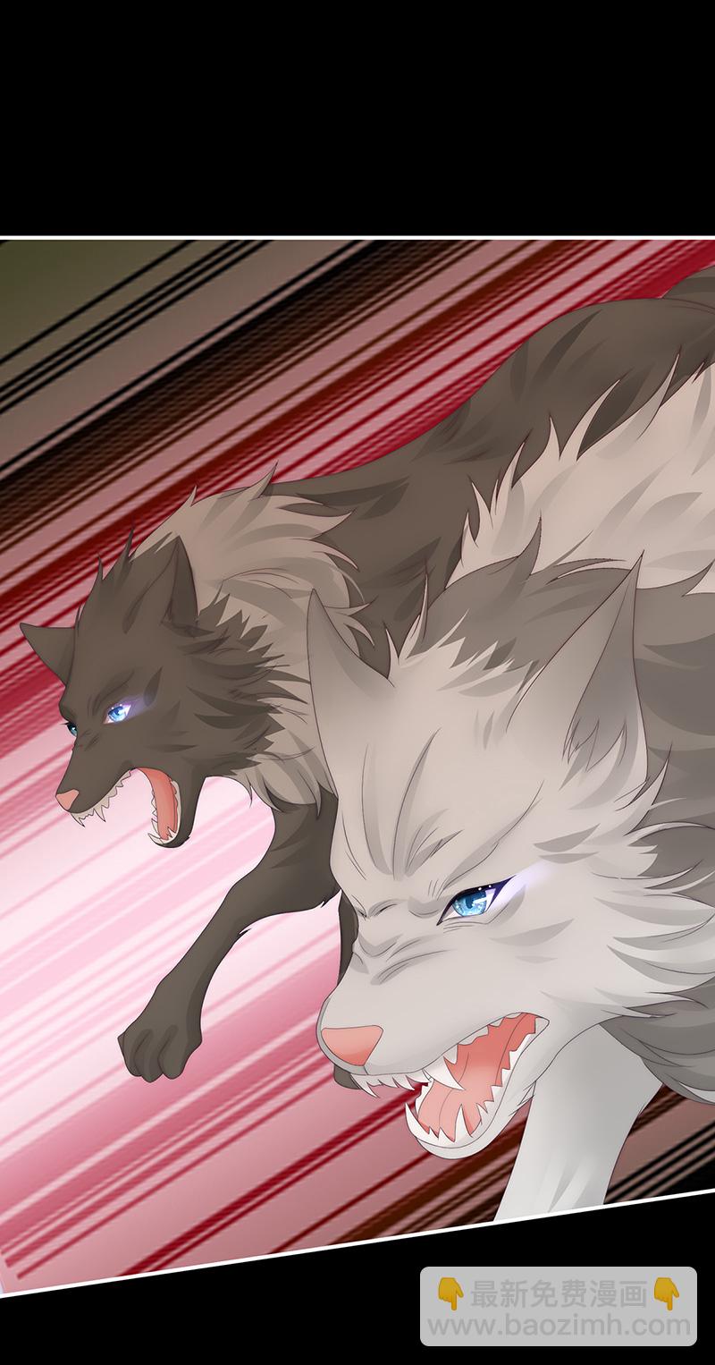 第111话 又来两只美狼！-第115话