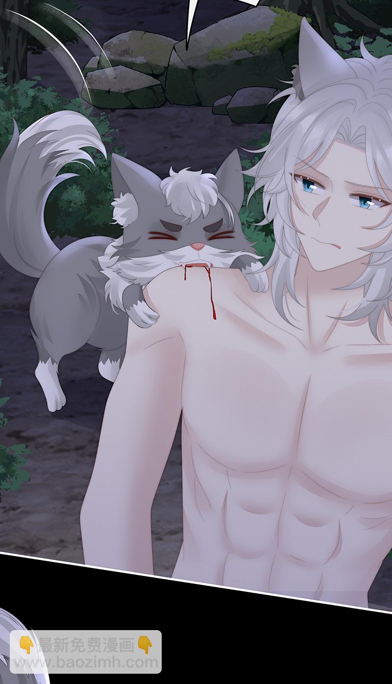 第111话 又来两只美狼！-第115话