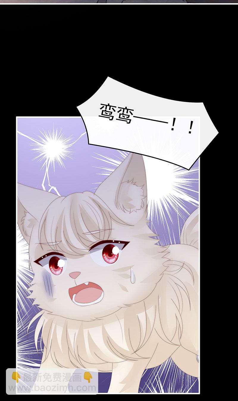 第115话 最珍贵的血族-第119话