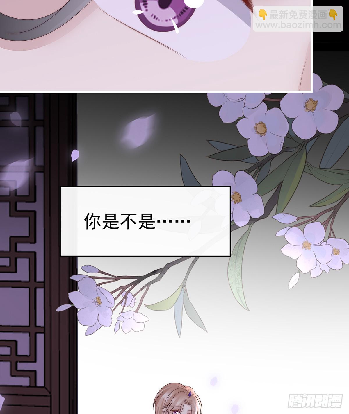 妻主，請享用（別名：天喜紅鸞） - 不要再打了啦！(1/2) - 3