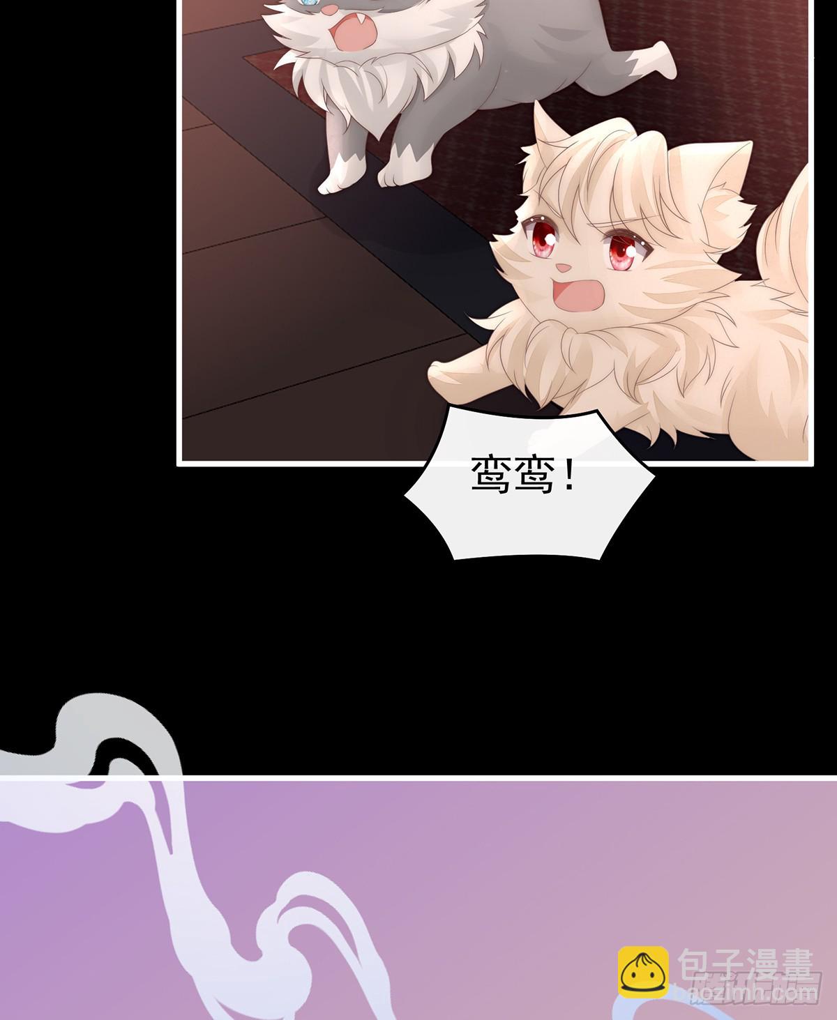 妻主，請享用（別名：天喜紅鸞） - 不要再打了啦！(1/2) - 5