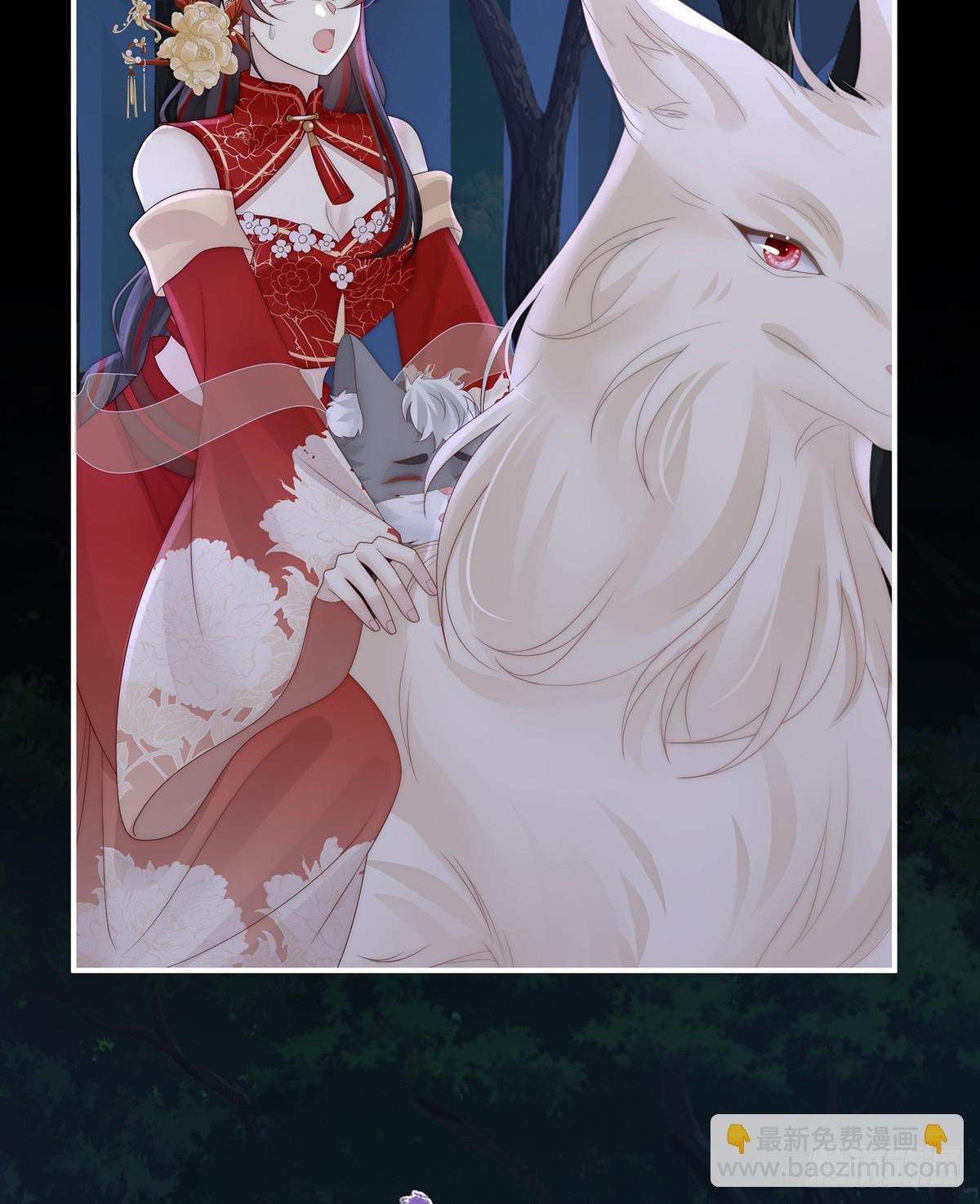 又来两只美狼！(1/2)-第115话