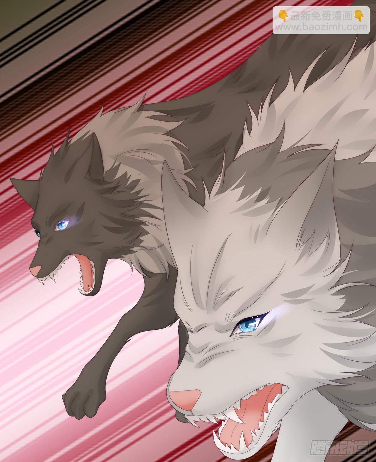 又来两只美狼！(1/2)-第115话