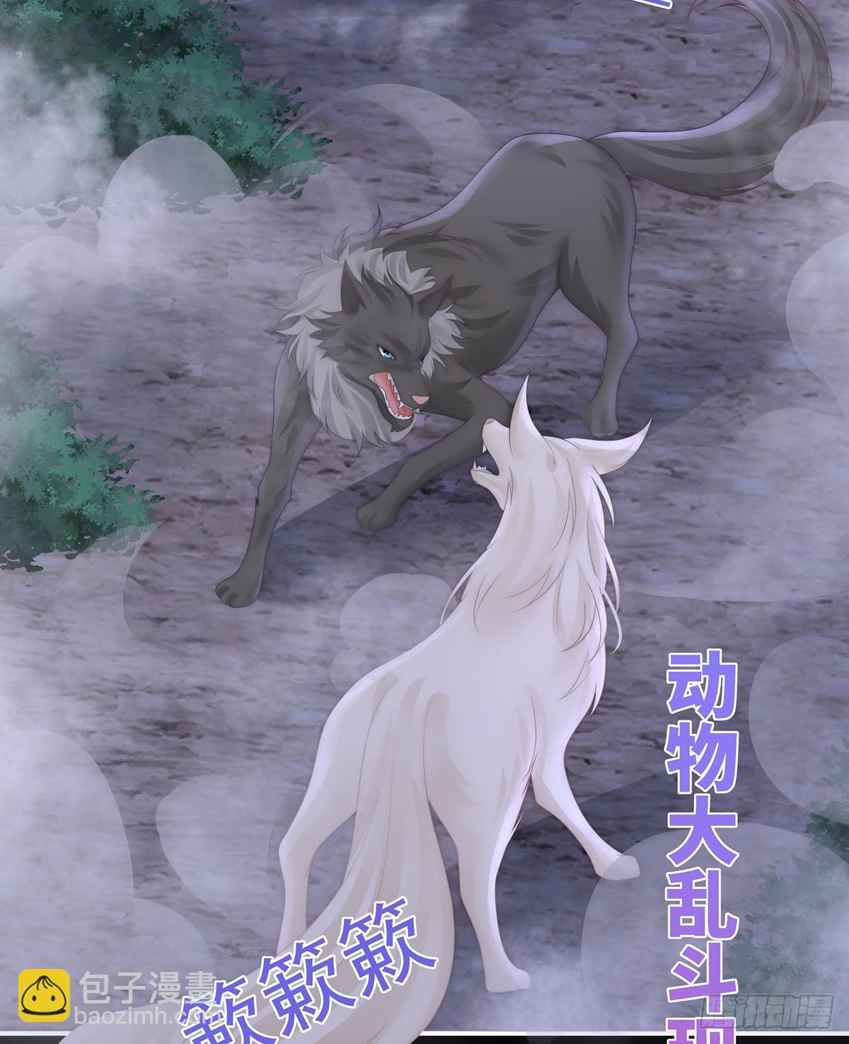 又来两只美狼！(1/2)-第115话