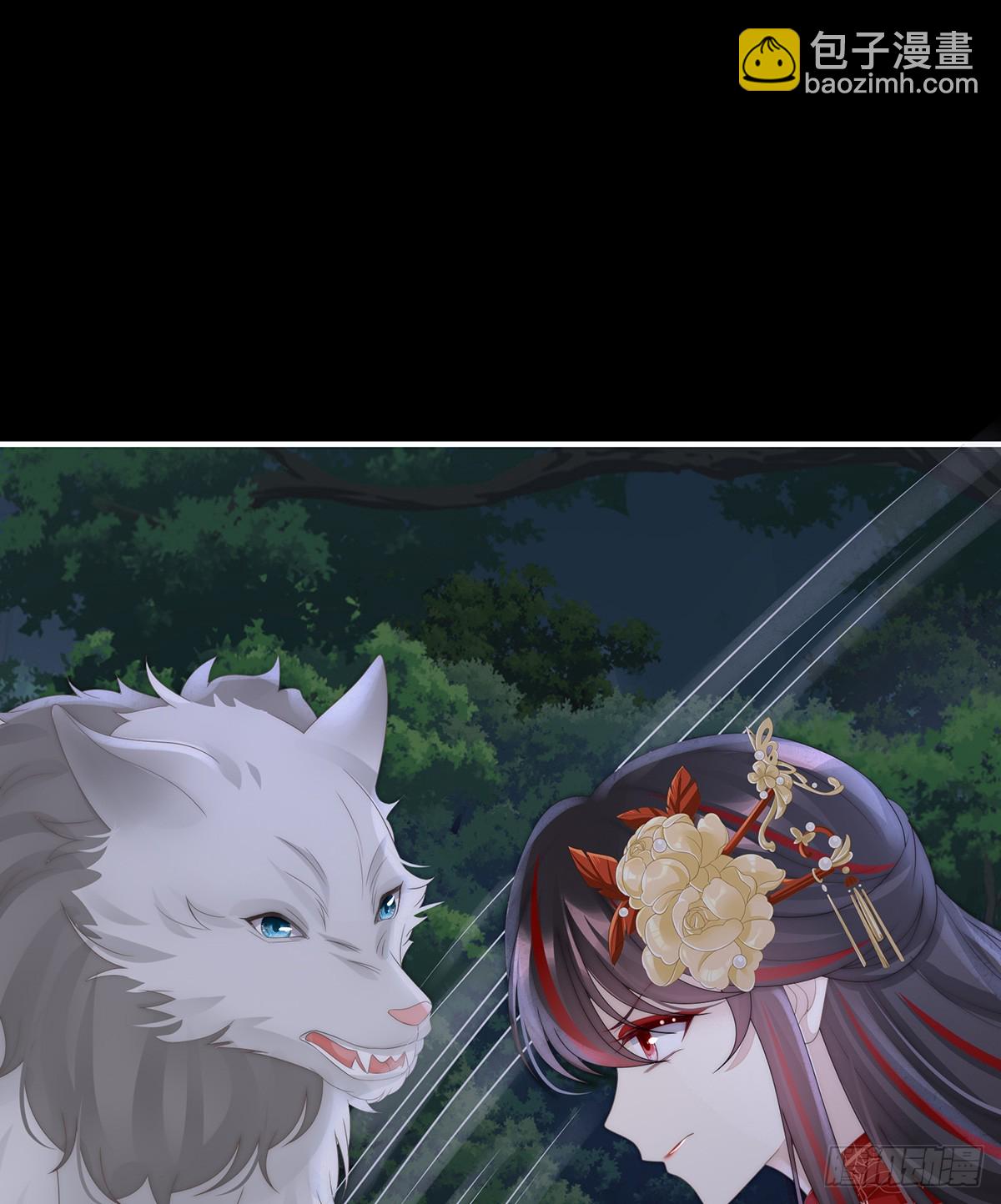 又来两只美狼！(1/2)-第115话