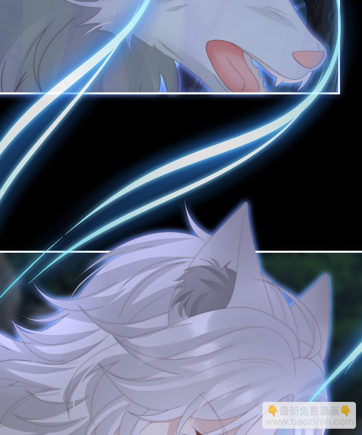 又来两只美狼！(1/2)-第115话