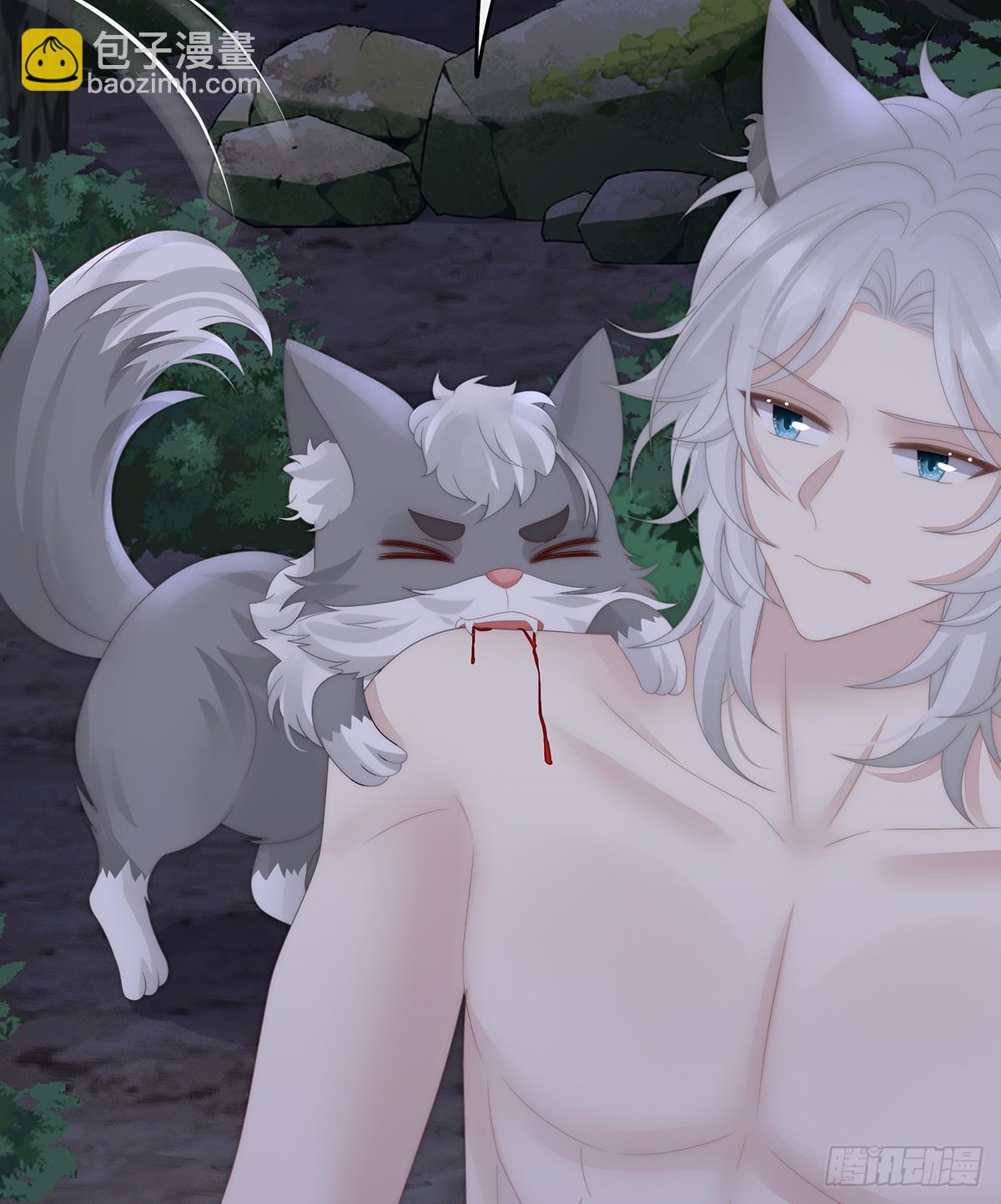 又来两只美狼！(1/2)-第115话