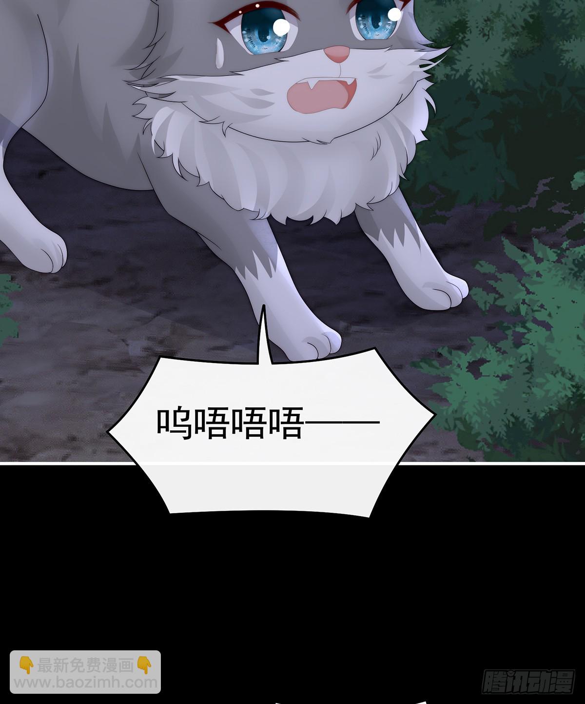 又来两只美狼！(1/2)-第115话