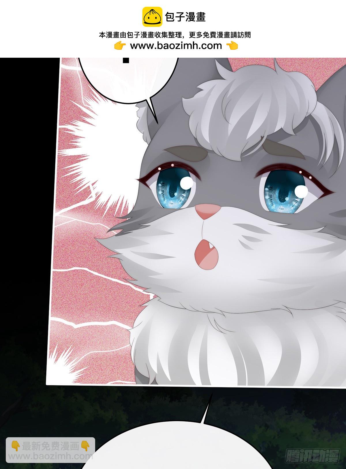 又来两只美狼！(1/2)-第115话