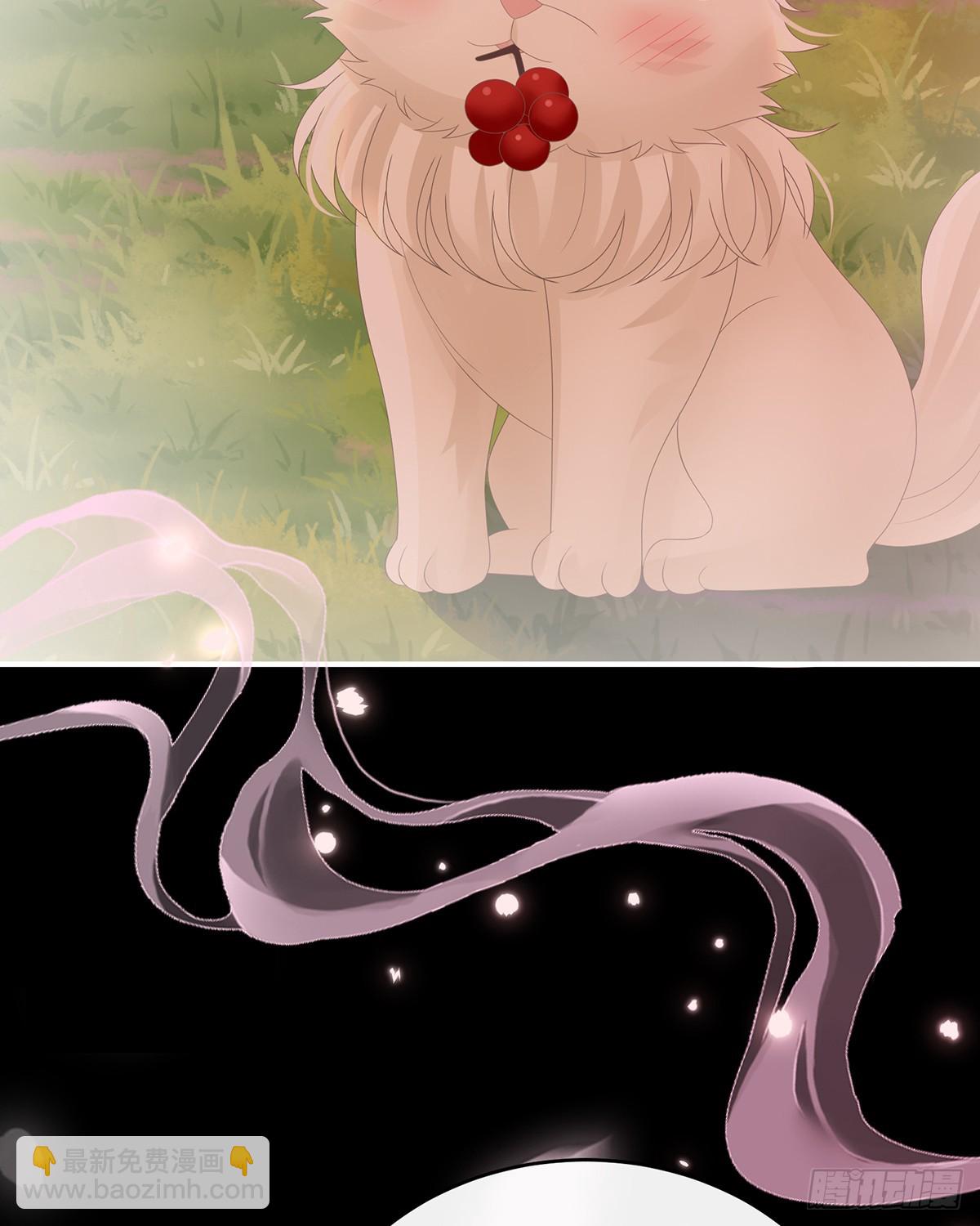 原谅(1/2)-第145话